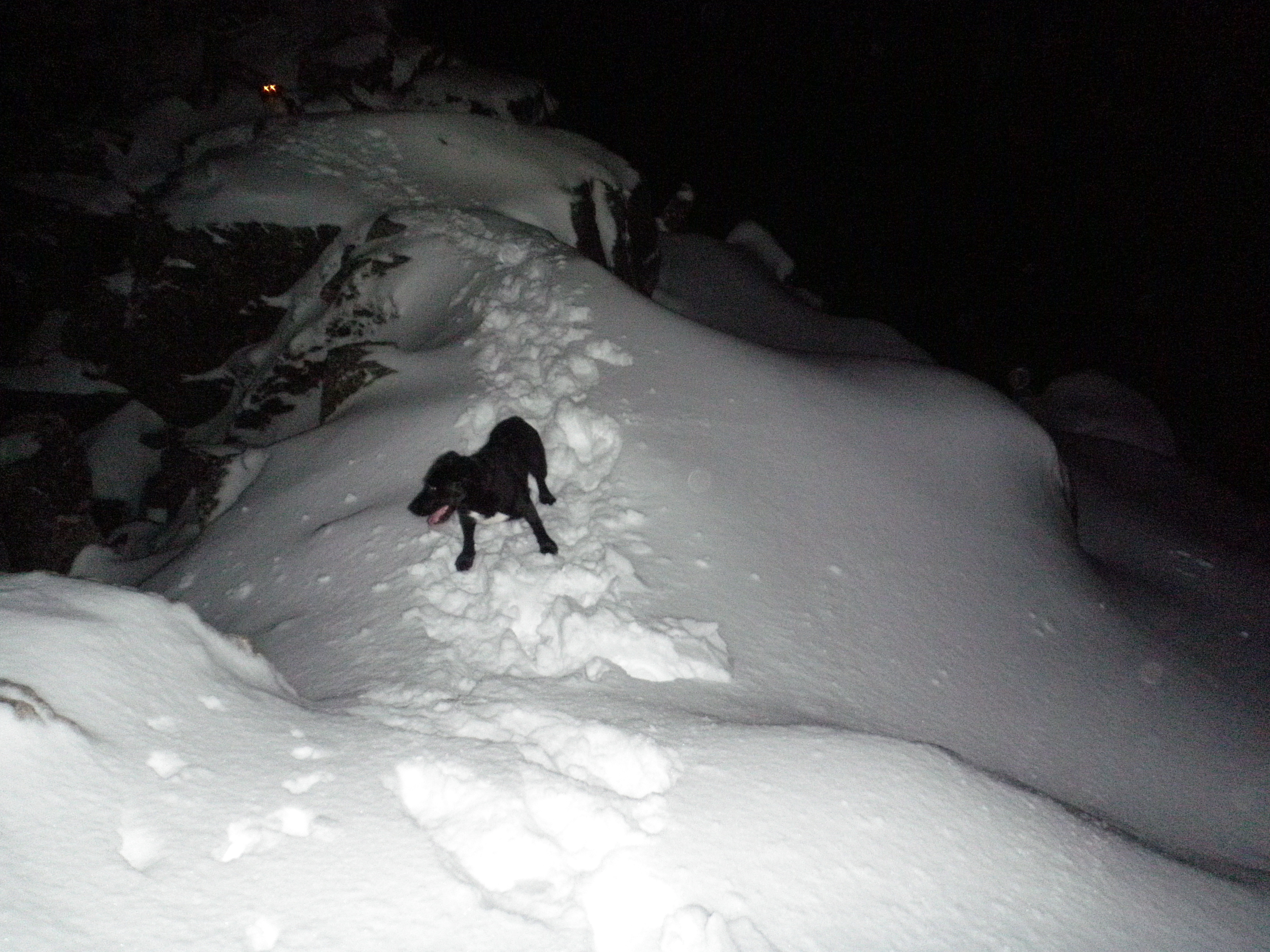 Scratching helping with winter motivation, although running on the edges of Helvellyn is a big plus in the first place! - Photo Credit: MountainRun