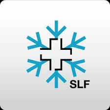 White Risk SLF - Avalanche Safety App